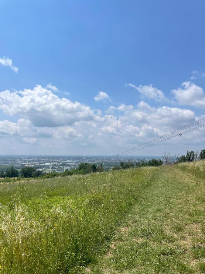 Le Charmant Des Coteaux, Free Parking & Free Wifi Тулуза Экстерьер фото